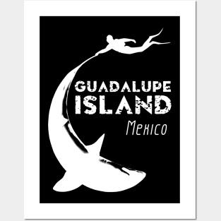 Guadalupe Island Shark Diving Posters and Art